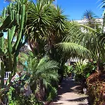 Hotel Don Manolito
