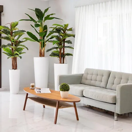 Don Manolito Hotel Puerto de la Cruz (Tenerife)