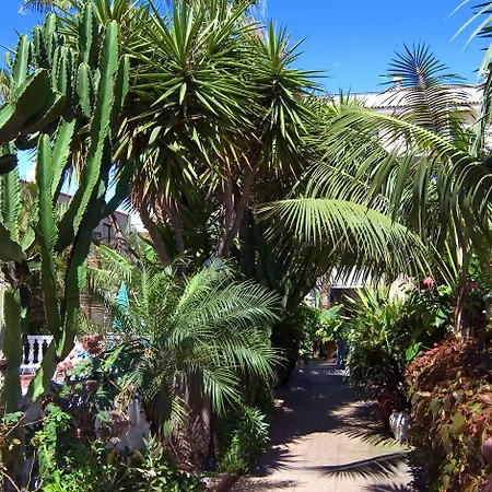 Hotel Don Manolito