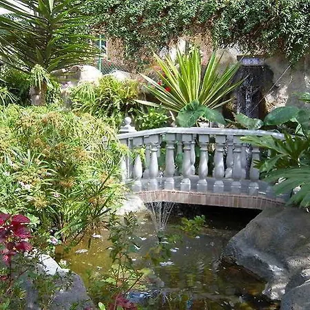 Don Manolito Hotel Puerto de la Cruz (Tenerife)