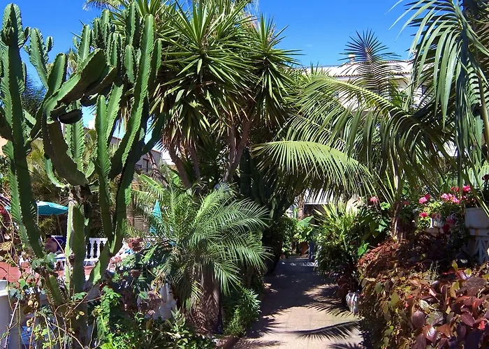 Hotel Don Manolito